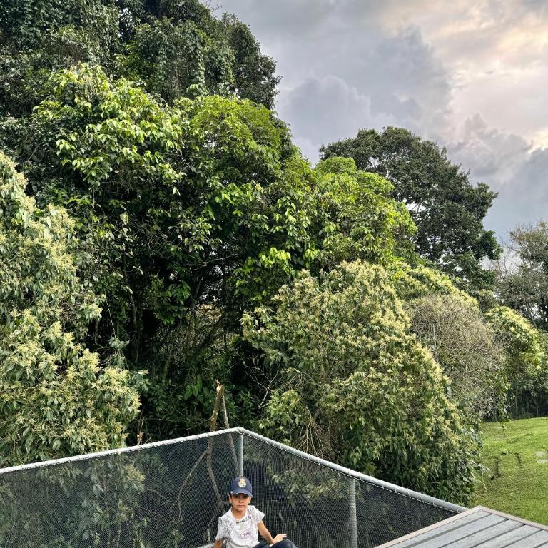 Casa campestre en el Quindío - Casa de 6 dormitorios - 46