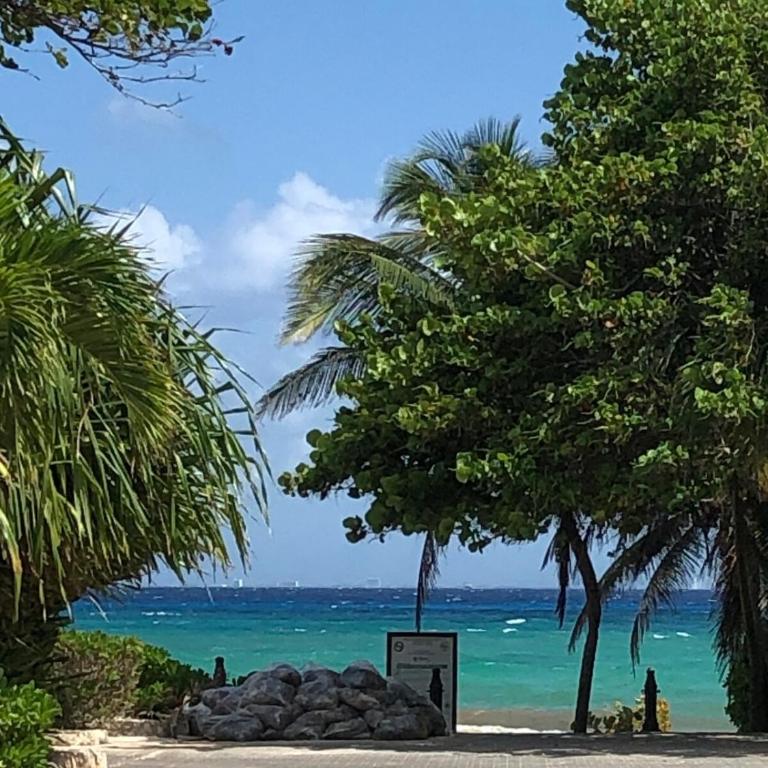 Ocean View Pool in Exclusive Playacar, En-Suite Rooms - Apartamento de 4 dormitorios con balcón - 57