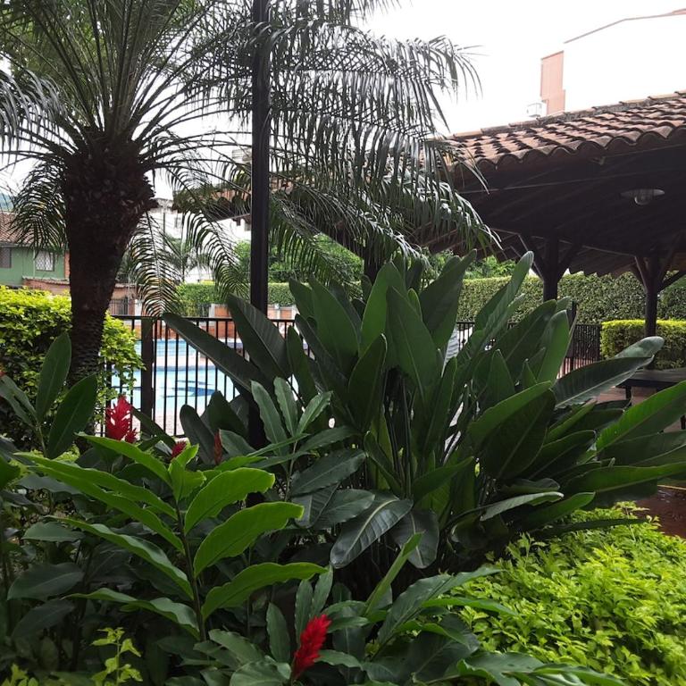 Modern Apartment in Cali - Apartamento de 3 dormitorios - 23