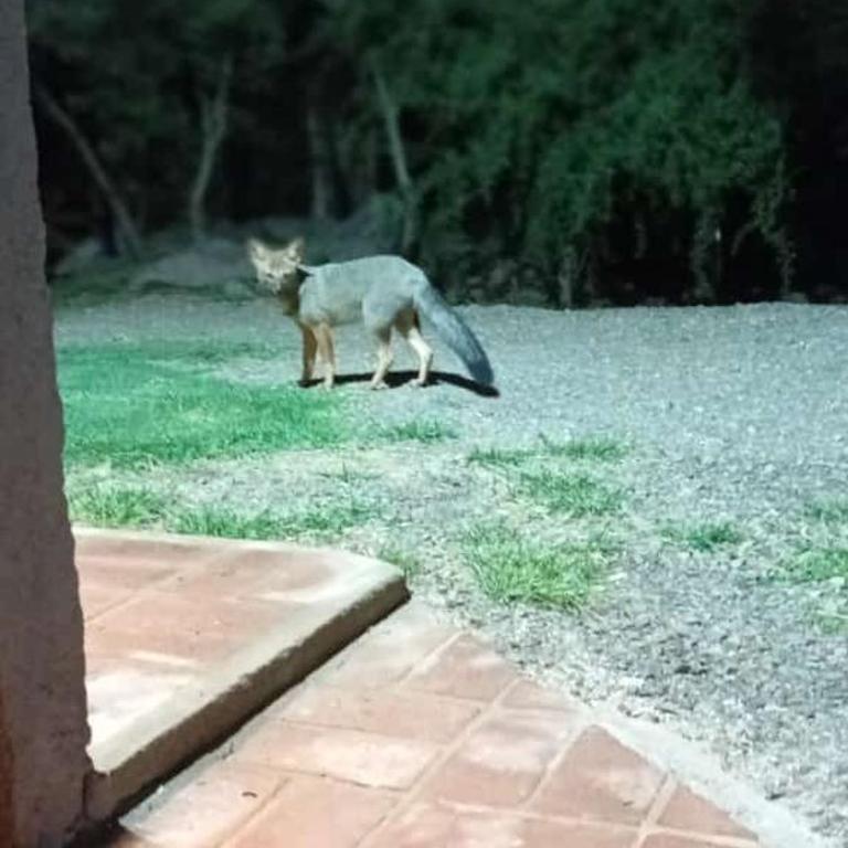 La Pasionaria Casa de Campo - Two-Bedroom House - 40