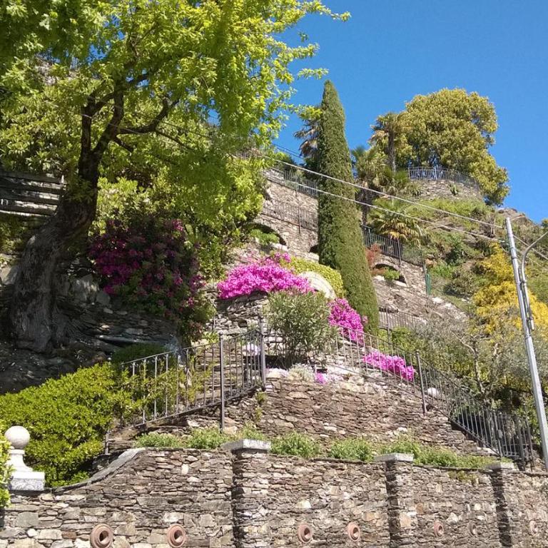 Residenza Silvana Apt A Cielo on the ground floor with parking - Appartamento - Piano Terra - 63