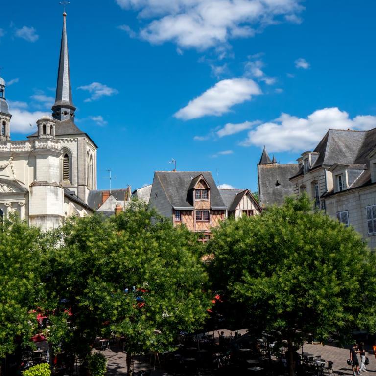 T3 Classé Monument Historique XVIe Saumur Centre - Appartement - 21