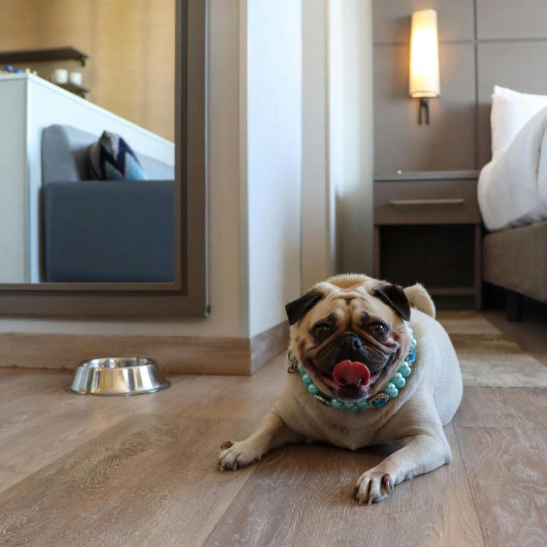 Residence Inn by Marriott Playa del Carmen - Estudio con cama extragrande - 6