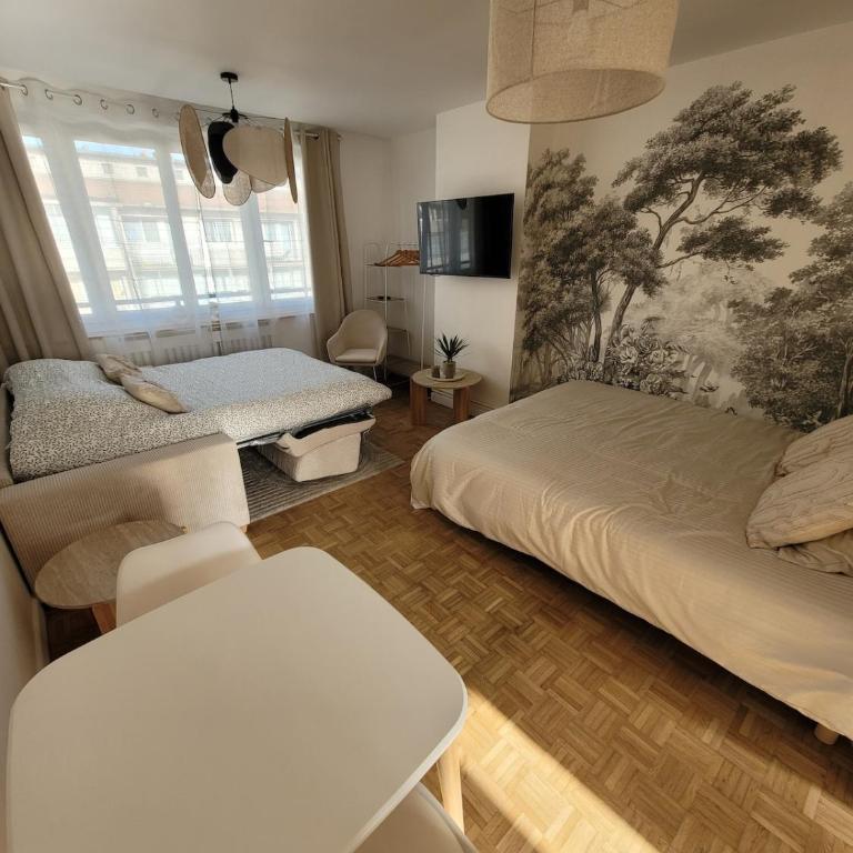 Charmant Studio Centre ville - Studio - 30