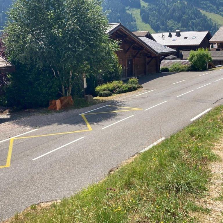 Eterlou 11 Apartment - Snow and Trek - Morzine - Apartment with Mountain View - 20