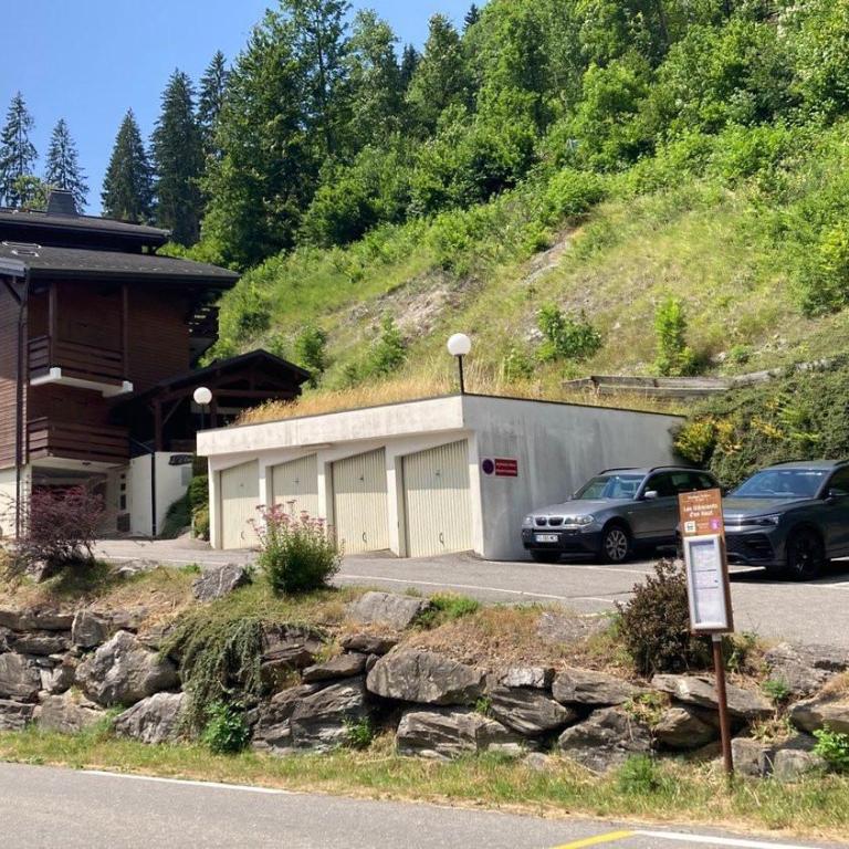 Eterlou 11 Apartment - Snow and Trek - Morzine - Apartment with Mountain View - 21