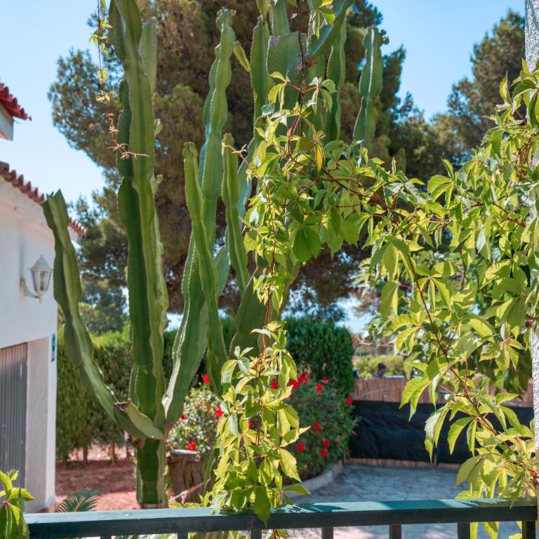 La casa del mar Nuimna - Villa de 3 dormitorios - 43