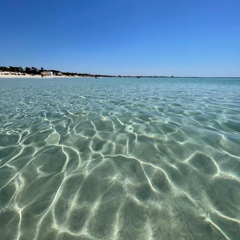 Salento apartment - Apartment - 3