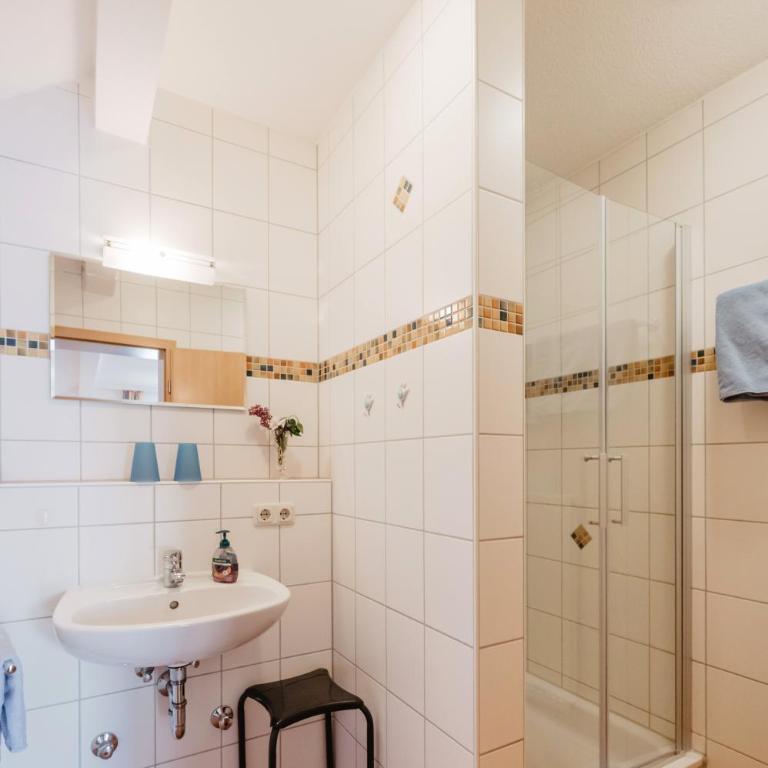 Apartmenthaus am Brückerl - Studio-Apartment - 3