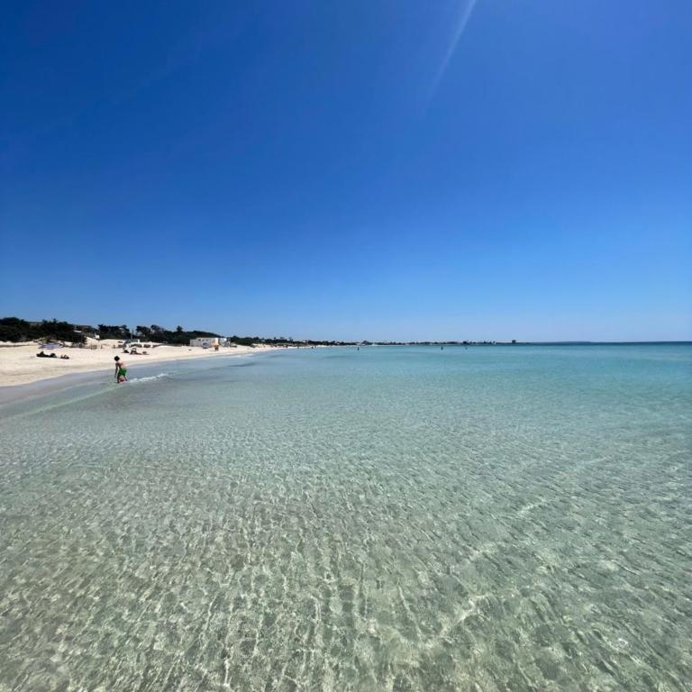 Salento apartment - Apartment - 7