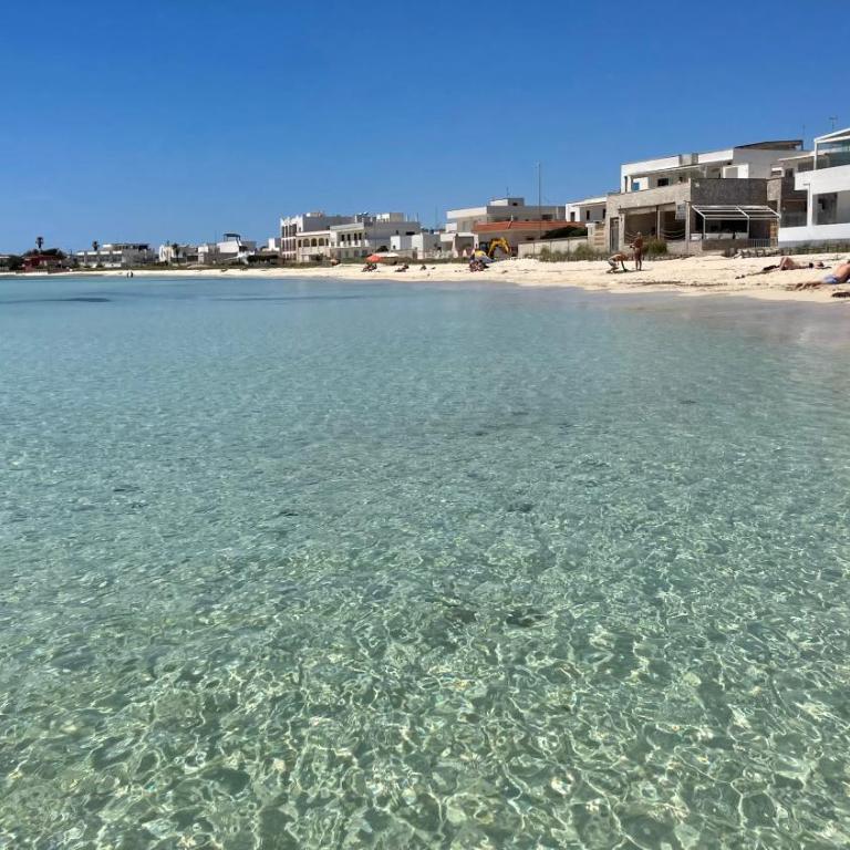 Salento apartment - Apartment - 4