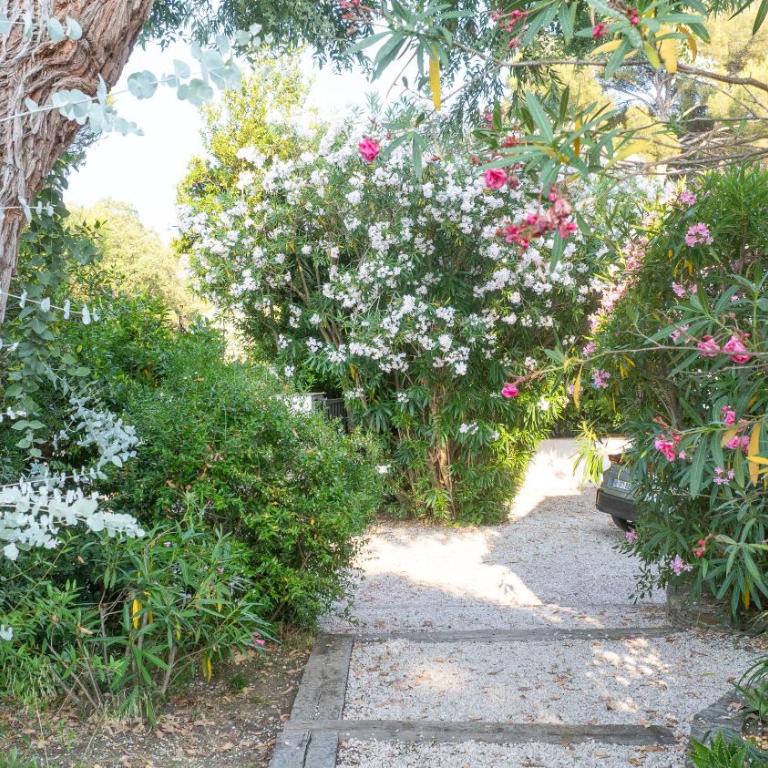 JAMES FCD45 - luxury villa on private domain in Saint Tropez - Villa - 19