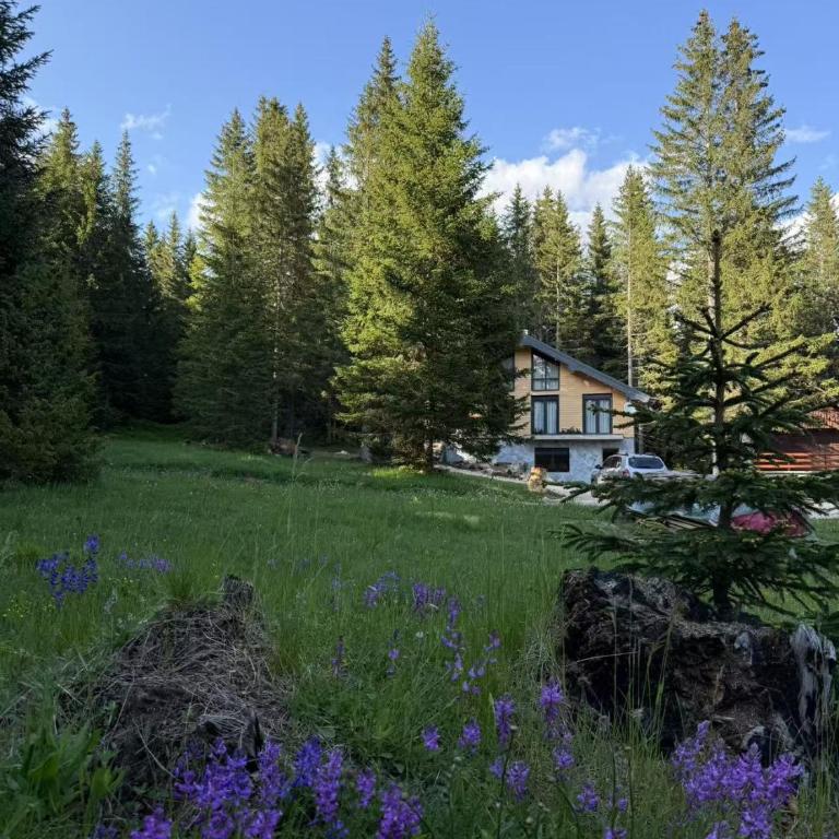 Durmitor Peaks and Pines - Studio with Mountain View - 12