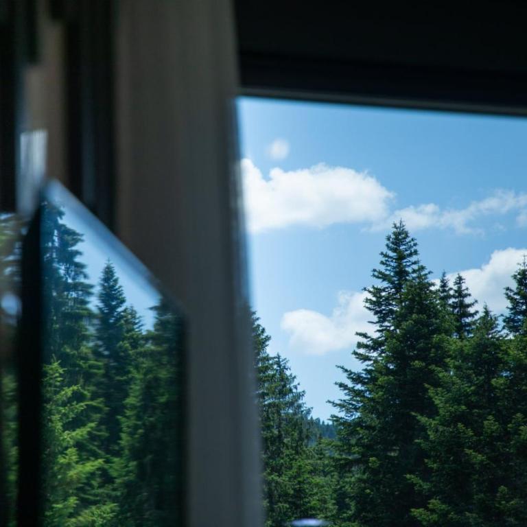 Villa Jezero 4 - One-Bedroom Apartment - 14