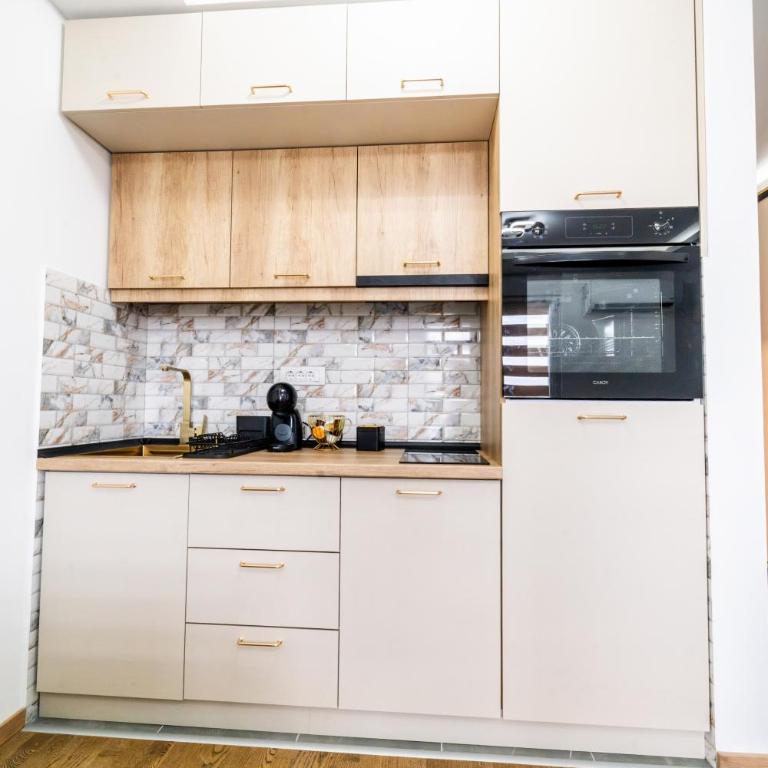 Panorama V Lux Vrnjačka Banja - One-Bedroom Apartment - 10