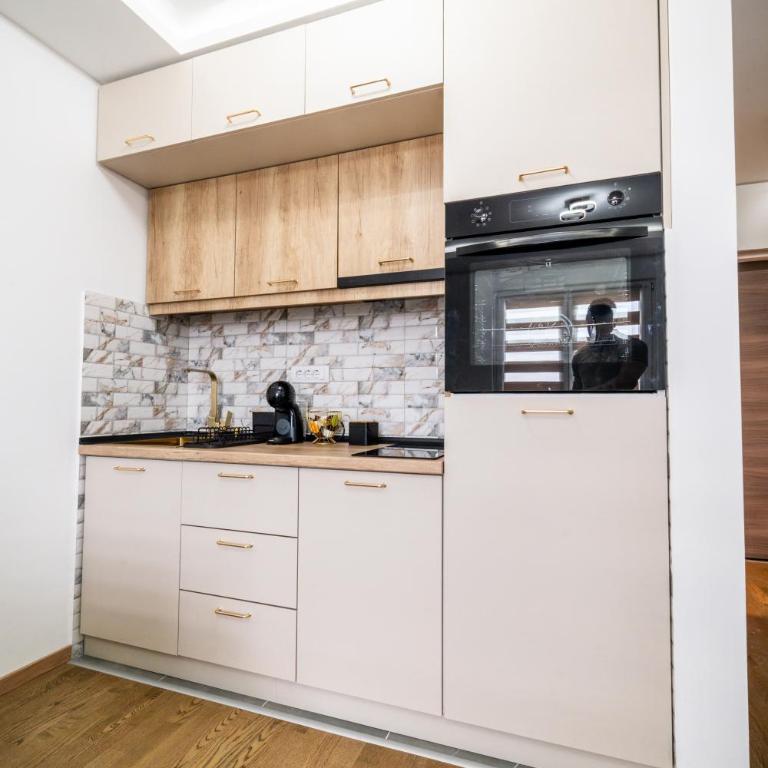 Panorama V Lux Vrnjačka Banja - One-Bedroom Apartment - 13