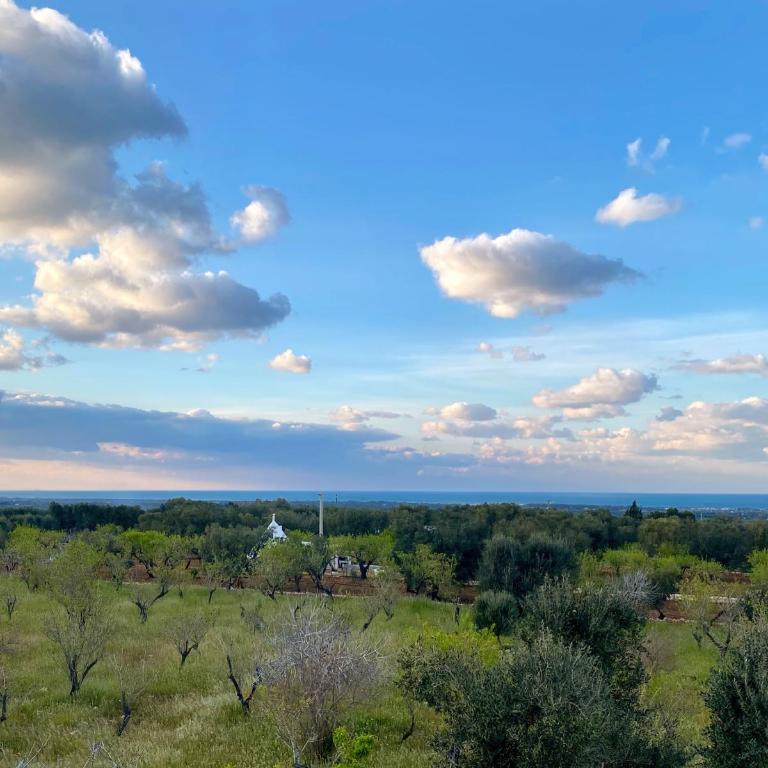Splendida Villa con piscina a 10 minuti dal mare - Appartamento con 3 Camere da Letto - 25