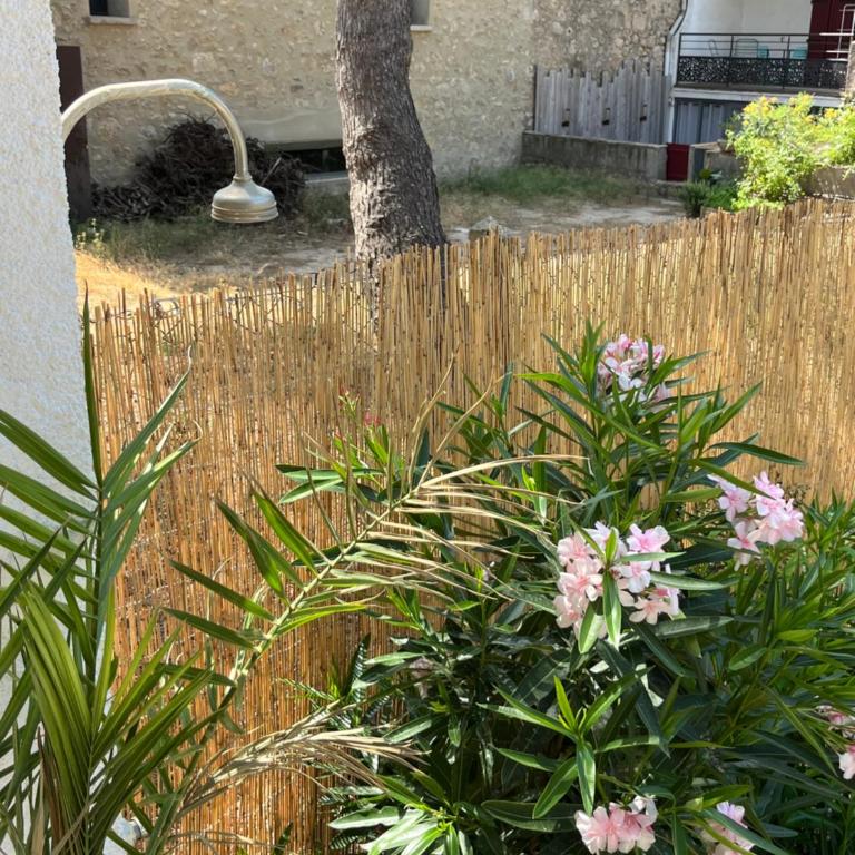 Grande maison familiale Leucate Village - Maison 4 Chambres - 22