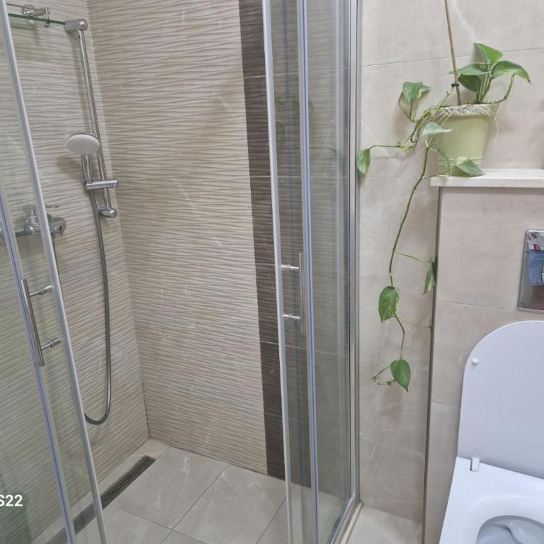 MiA & LoLa - One-Bedroom Apartment - 3