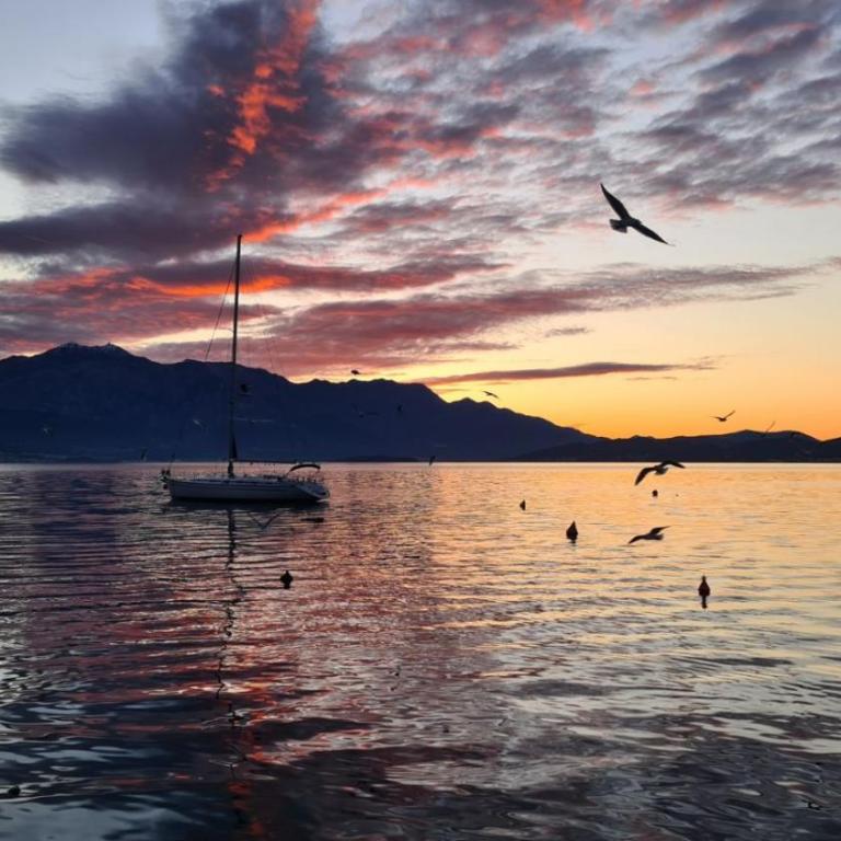 MiA & LoLa - One-Bedroom Apartment - 4