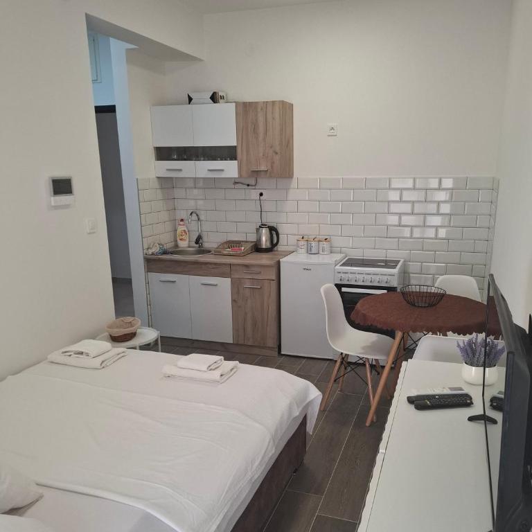 ZEN Studio Apartman - Apartman s 1 Spavaćom Sobom i Terasom - 9