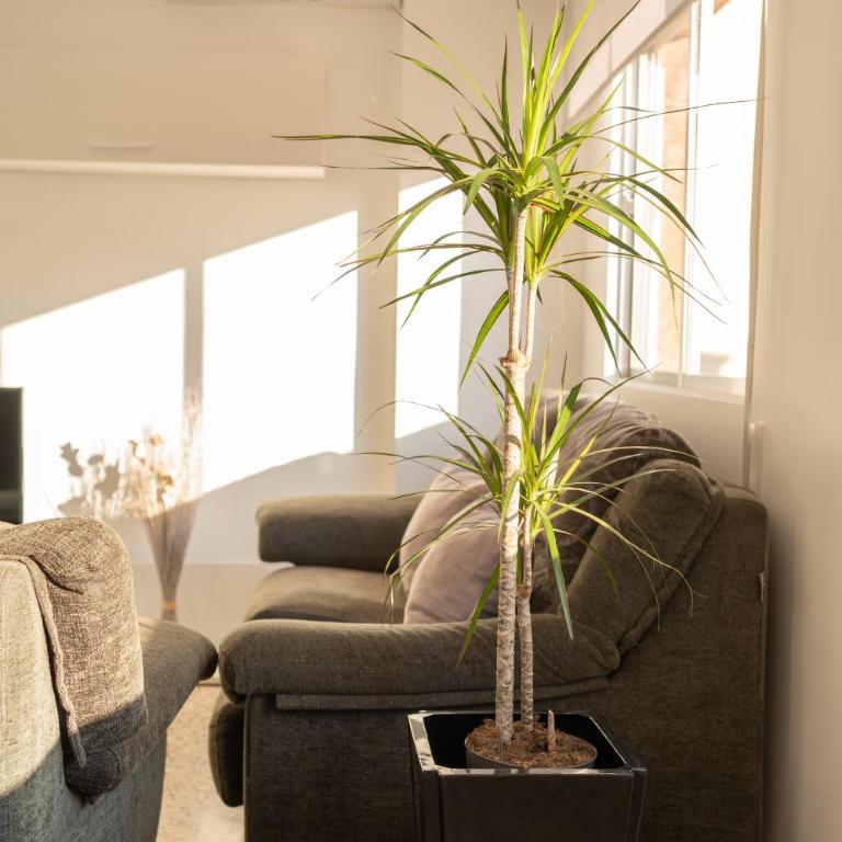 Piso Centro de Almería - Apartamento de 3 dormitorios - 2