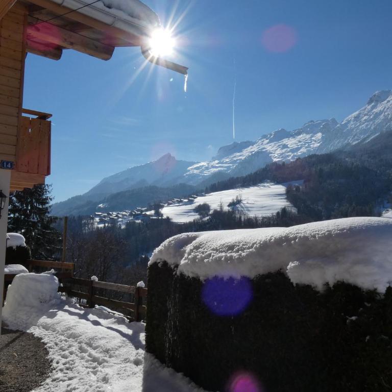 chalet Noyer - Domaine du Fraizier - Chalet - 3