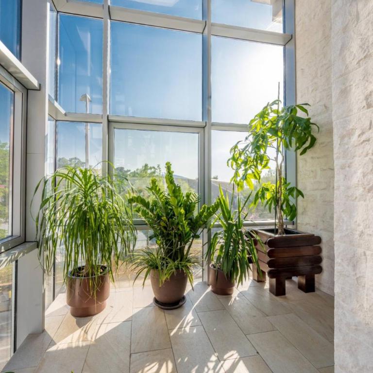 Apartmani Tip-Top - Apartman sa 1 Spavaćom Sobom - 21