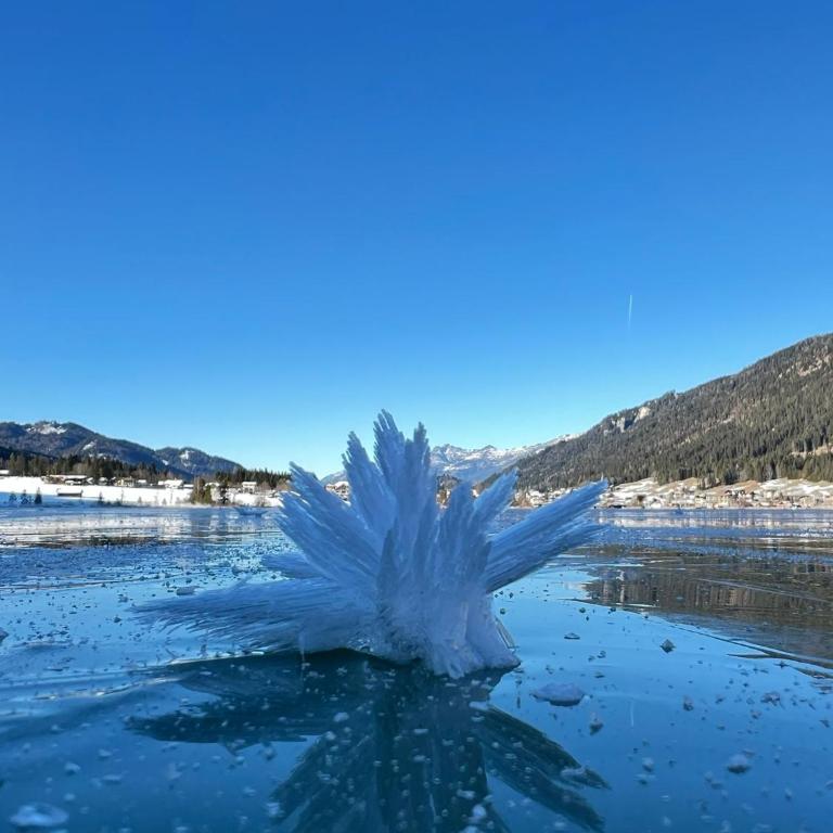 FerienSuiten DeLuxe Weissensee - Apartamento de 2 dormitorios con vistas al lago - 85