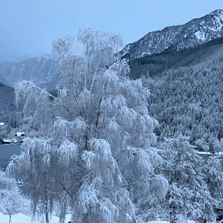FerienSuiten DeLuxe Weissensee - Apartamento de 2 dormitorios con vistas al lago - 77