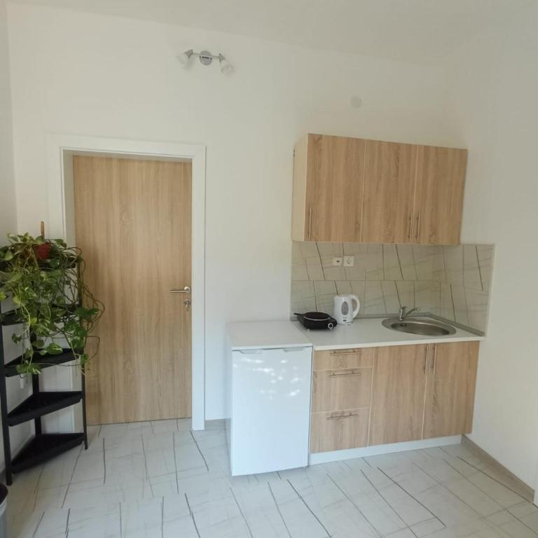 Apartman EM-Bajkeraj - One-Bedroom Apartment - 19