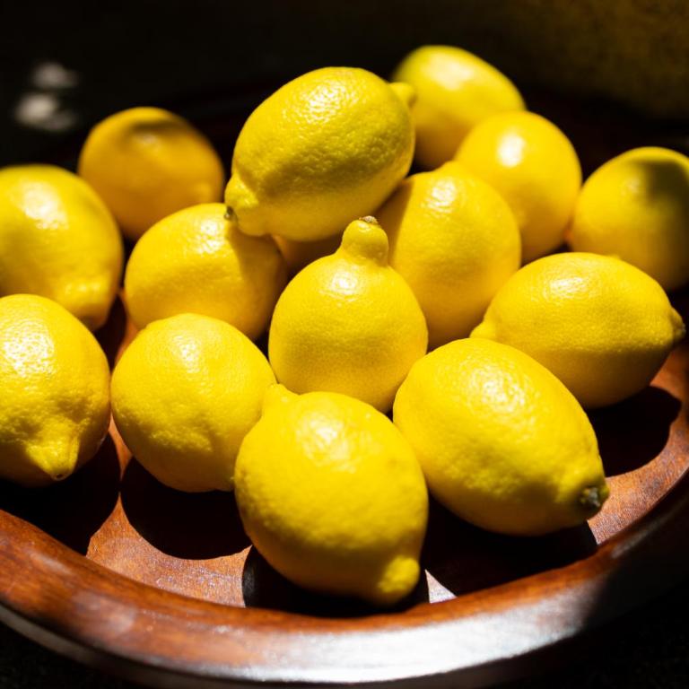 Casa Pastrovici del Mare - Vila sa 3 Spavaće Sobe - 9