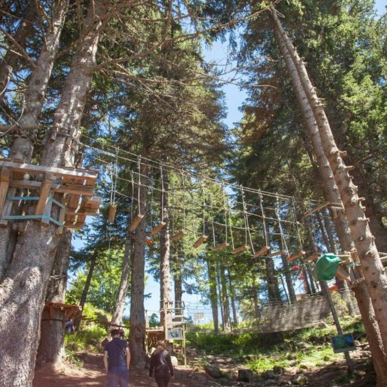 Les Domaines de LArselle à Chamrousse 1700 - Droseras D12 avec accès piscine - Classé 3 étoiles - Appartamento con 2 Camere da Letto - 21