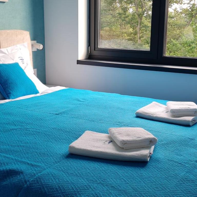 PLAVA ZVEZDA ZLATIBOR apartman u kompleksu Titova vila Zlatibor - One-Bedroom Apartment - 14