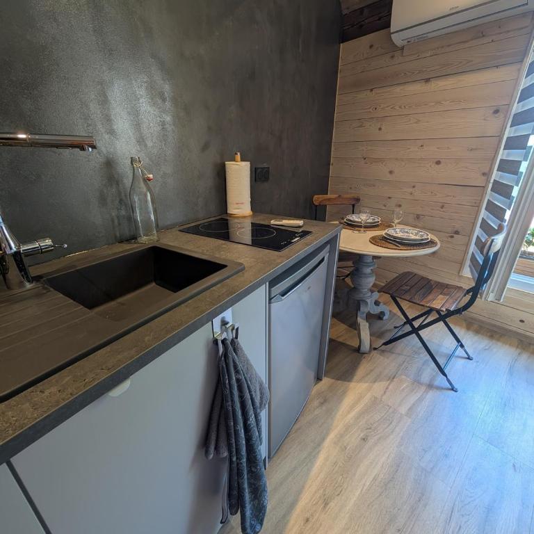 Le chalet d'en haut studio climatisé - Chalet de 1 dormitorio - 13