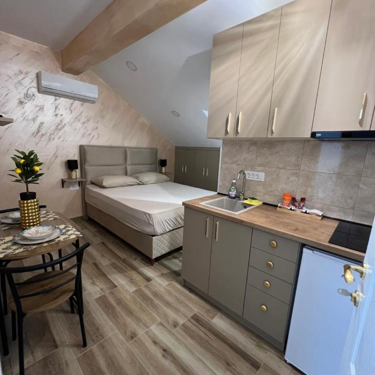 Apartment Tri limuna 1 - Studio Apartment with Balcony - 5