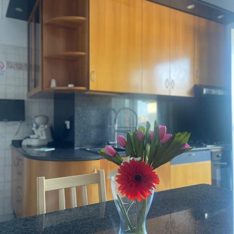 ALMIA casa vacanze - Appartamento con 2 Camere da Letto e Vista Mare - 1