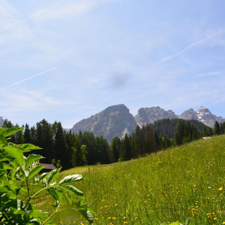 Apartment - Alpin Chalet Frenademetz - Appartamento - 28