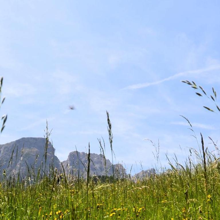Apartment - Alpin Chalet Frenademetz - Appartamento - 23