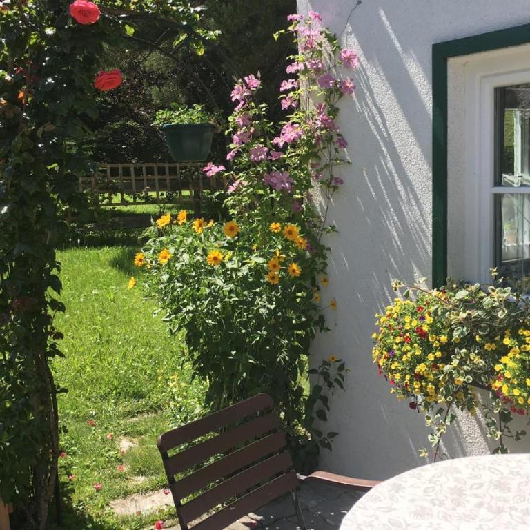 Haus Schartner Aloisia - Appartement 1 Chambre avec Douche - 26
