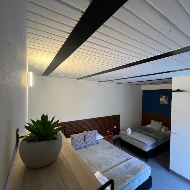 casa hostal amor viajero - Habitación Familiar con baño privado - 1