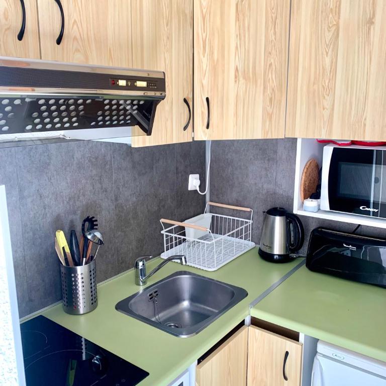 Studio cosy au cœur de la station des Carroz - One-Bedroom Apartment - 10