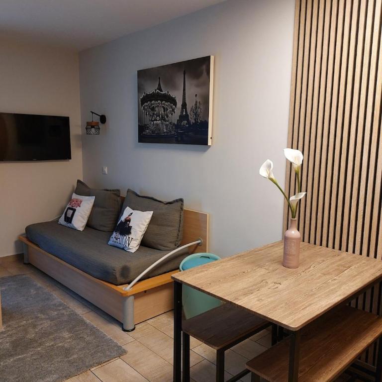 Disneyland Paris perfect for 5 ! - One-Bedroom Apartment - 21