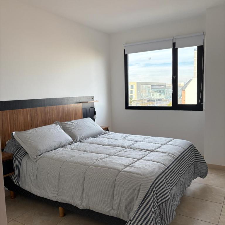 Las violetas 1170 Neuquen - One-Bedroom Apartment - 11