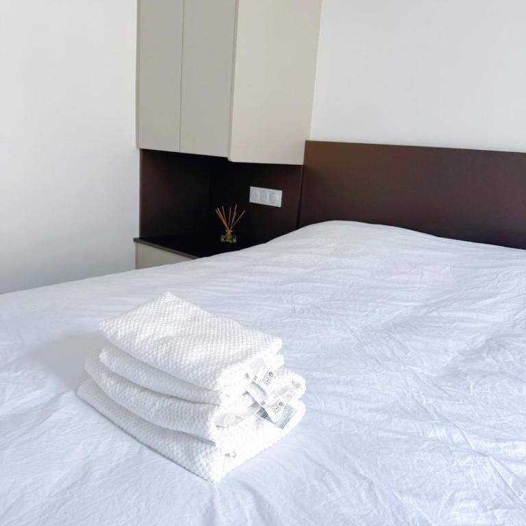 Home in Central Paris 5 min to Pompidou - Appartement 1 Chambre - 15