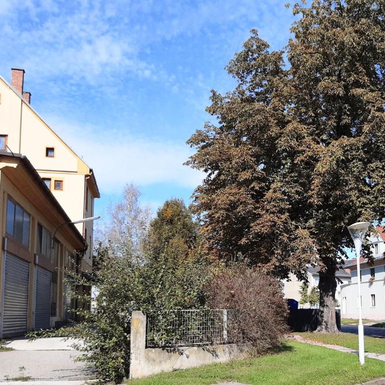 E-Werk AP 1 - Apartment mit 1 Schlafzimmer - 2