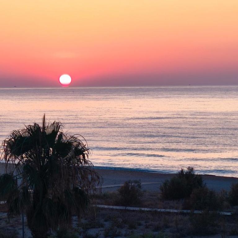 Peñíscola Primera Línea Playa - Apartamento de 1 dormitorio - 14