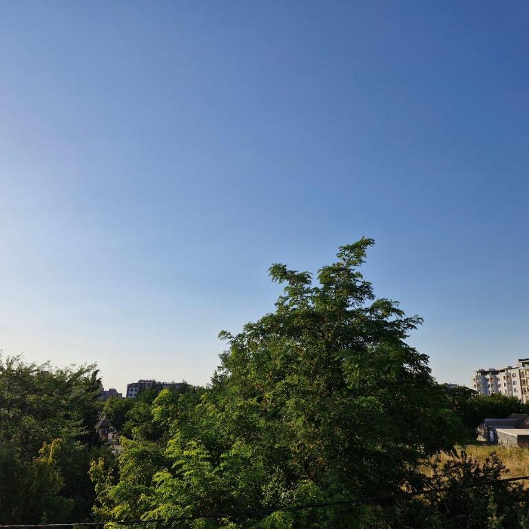 New Studio VMA Banjica - Free Parking - Studio Apartment - 22