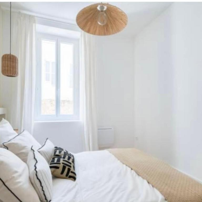 Bright 47 M2 With Nice Terrace Hypercenter - Appartement - 6
