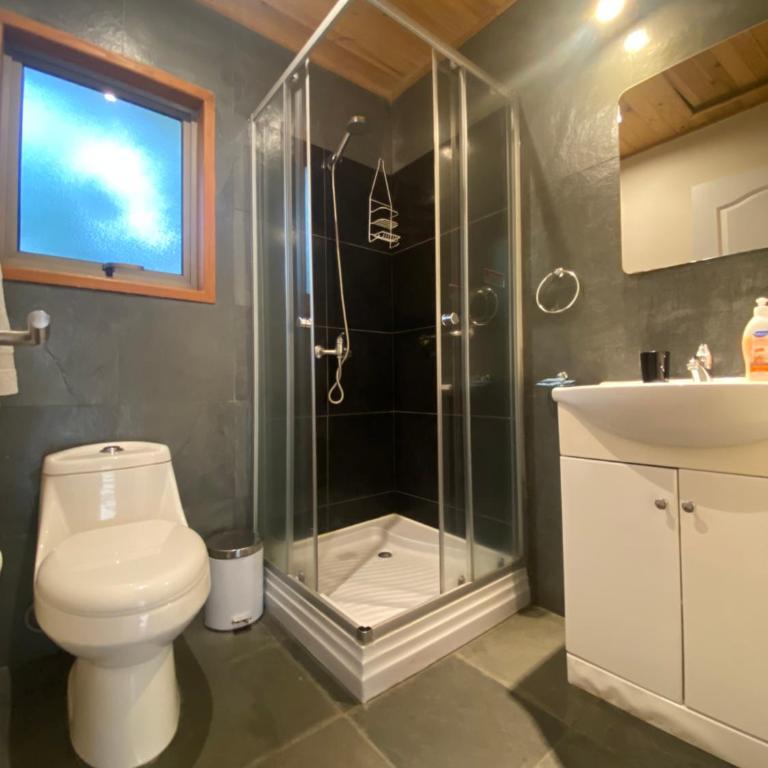 Loft Pucon - Apartamento - 2 niveles - 14